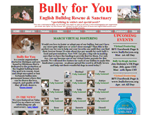 Tablet Screenshot of bullyforyou.org